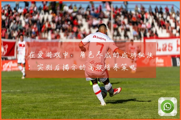 在爱游戏中，角色养成的成功秘诀：实测后揭示的高效培养策略