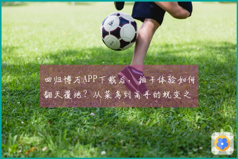 回归博万APP下载后，抽卡体验如何翻天覆地？从菜鸟到高手的蜕变之路