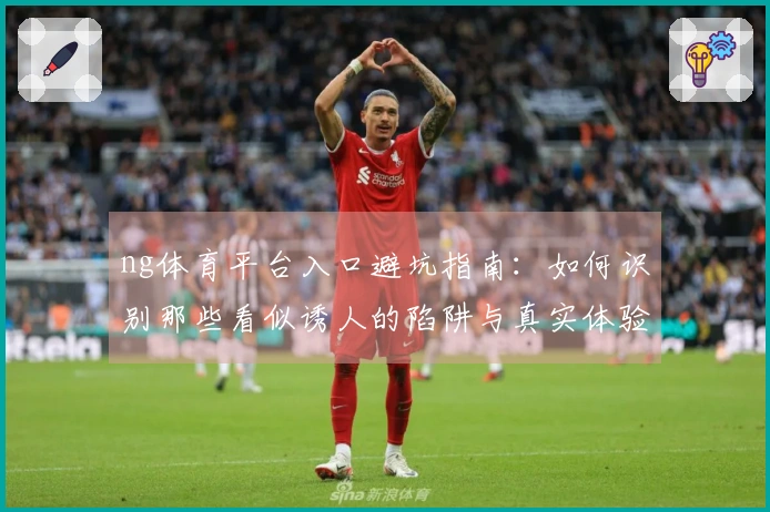 ng体育平台入口避坑指南：如何识别那些看似诱人的陷阱与真实体验差异