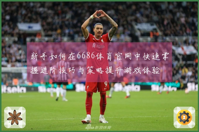 新手如何在6686体育官网中快速掌握进阶技巧与策略提升游戏体验