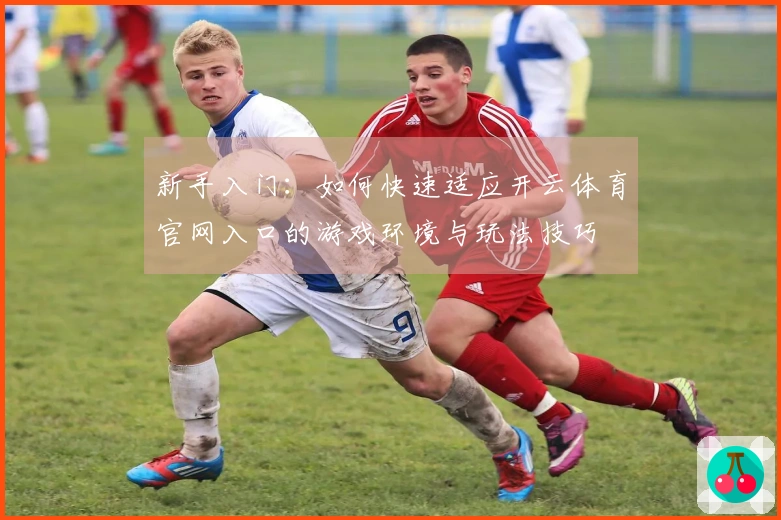 新手入门：如何快速适应开云体育官网入口的游戏环境与玩法技巧