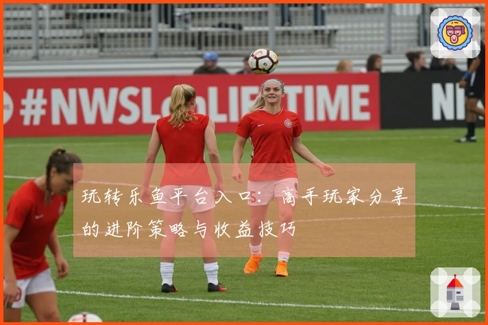玩转乐鱼平台入口：高手玩家分享的进阶策略与收益技巧