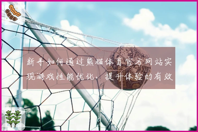 新手如何通过熊猫体育官方网站实现游戏性能优化，提升体验的有效技巧